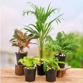 Revamp your home in style