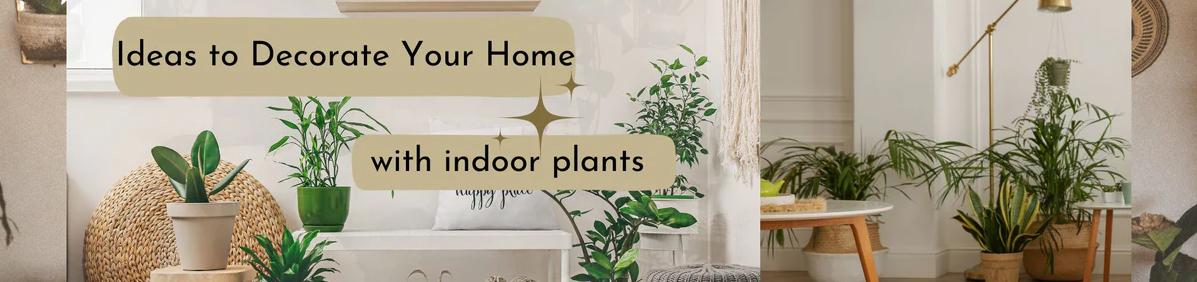 Decorate Ideas
